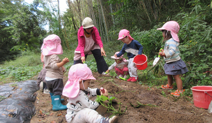 おひさまいっぱいのナースリーで、みんなで遊びましょう。大きな森に抱かれて、子どもたちの感性を育む場所。